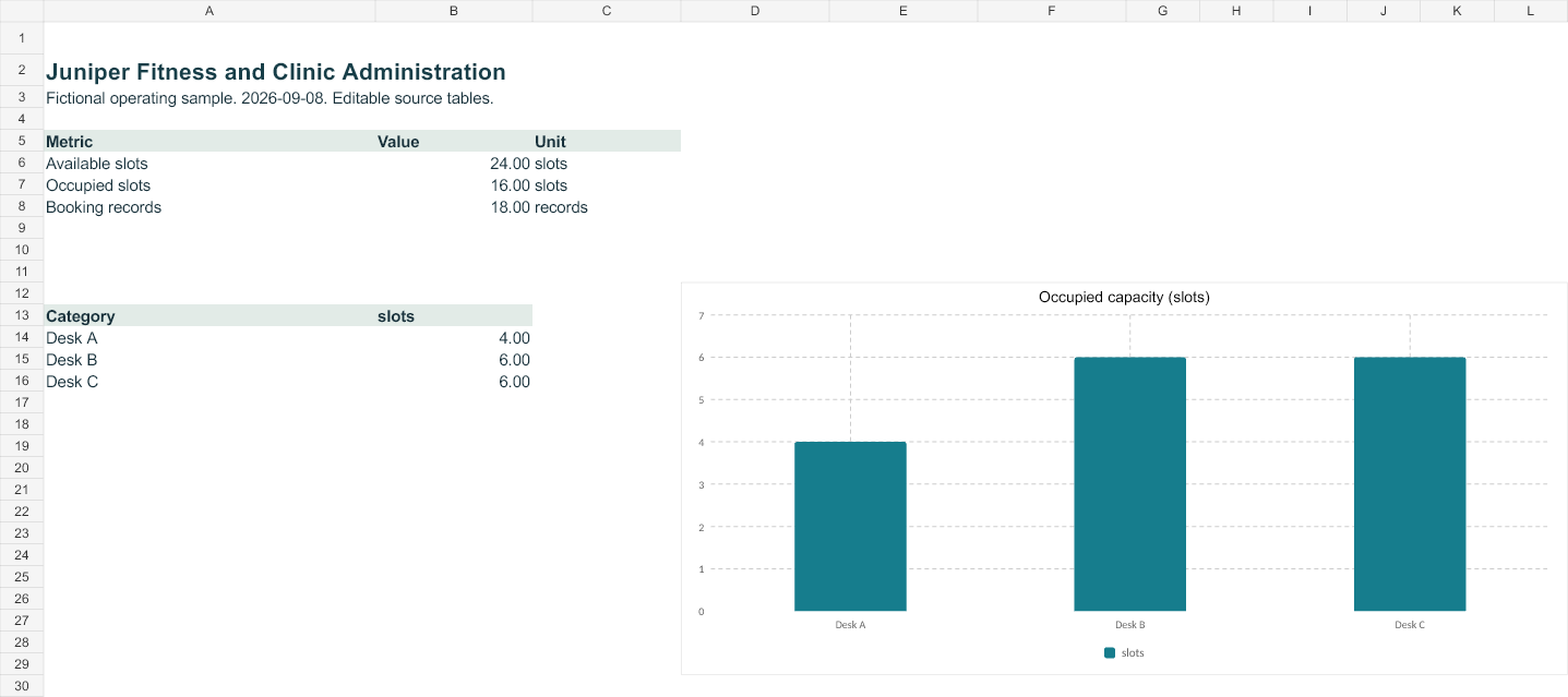 Rendered preview of Juniper Fitness and Clinic Administration: Editable operating workbook