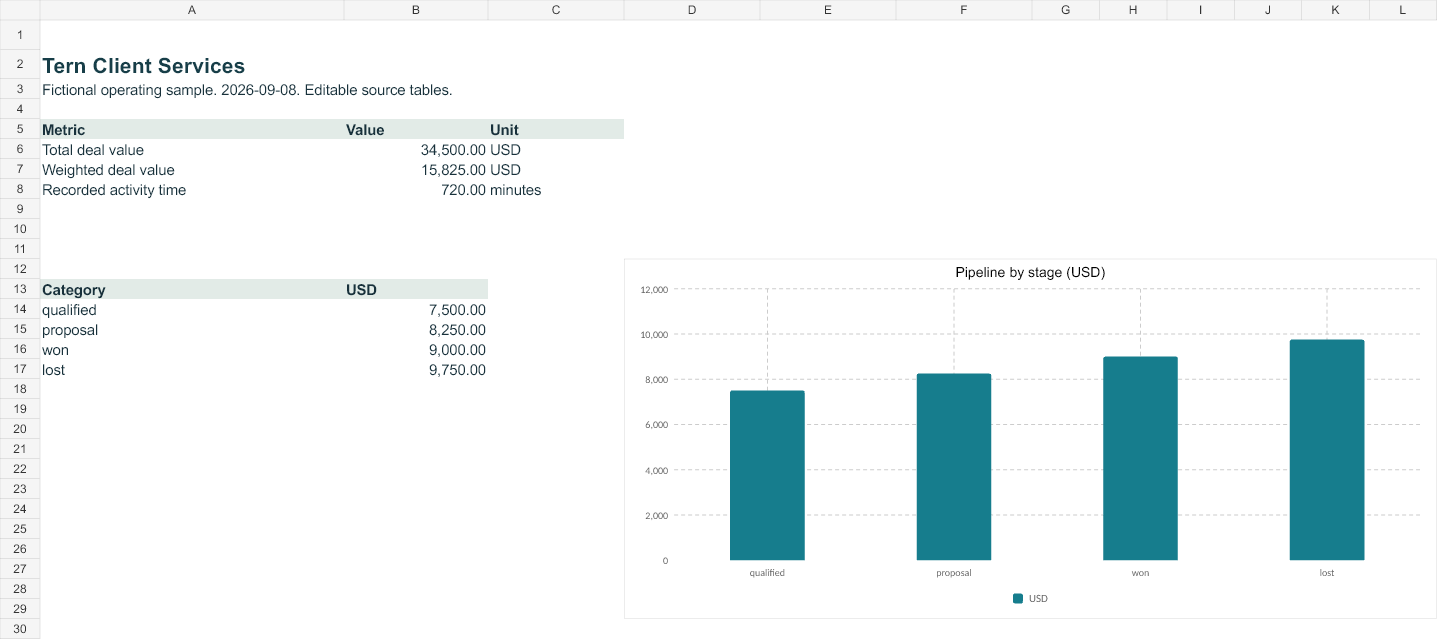 Rendered preview of Tern Client Services: Editable operating workbook