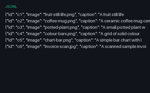 Preview of Image Caption Dataset (JSONL)