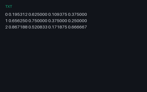 Preview of Detection Annotations: YOLO (TXT)