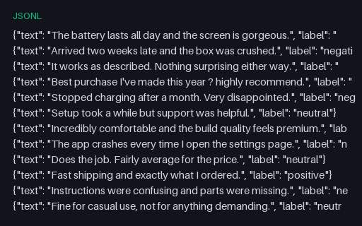 Preview of Sentiment Classification Dataset (JSONL)