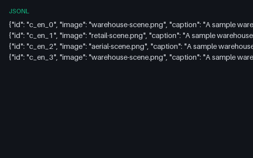 Preview of Multilingual Captions: EN (JSONL)