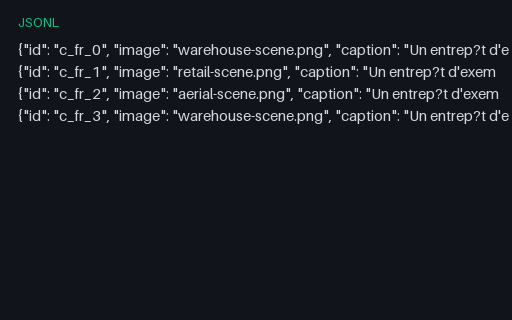 Preview of Multilingual Captions: FR (JSONL)