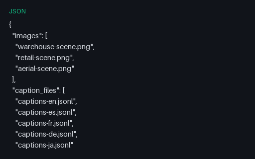 Preview of Caption Dataset Manifest (JSON)