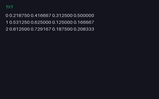 Preview of Detection Annotations: Retail YOLO (TXT)