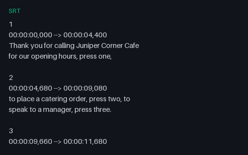 Preview of Ivr menu: timed captions