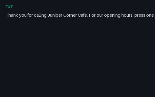 Preview of Ivr menu: reference script