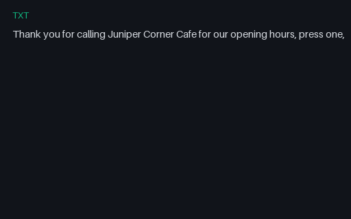 Preview of Ivr menu: recogniser transcript
