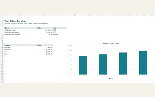 Preview of Tern Client Services: Editable operating workbook