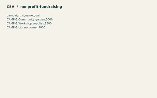 Preview of Willow Community Fund: Generic primary records CSV