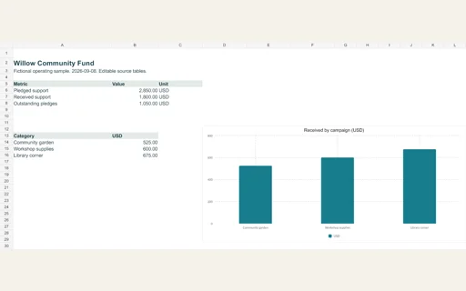 Preview of Willow Community Fund: Editable operating workbook