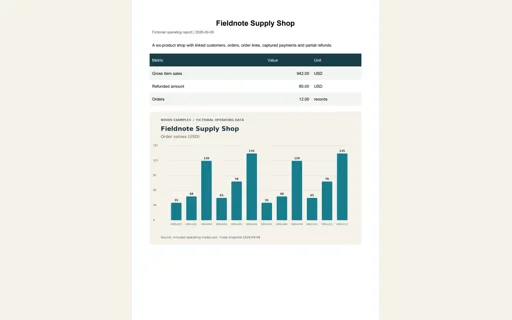 Preview of Fieldnote Supply Shop: Operating report PDF