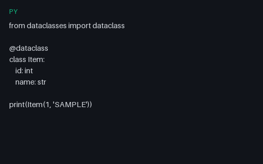 Preview of Python Dataclass SAMPLE