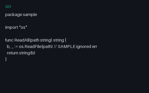 Preview of Go Lint Invalid: Errcheck Invalid