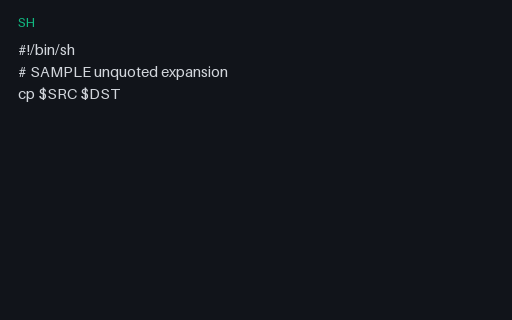 Preview of Shell Lint Invalid: Unquoted Var Invalid