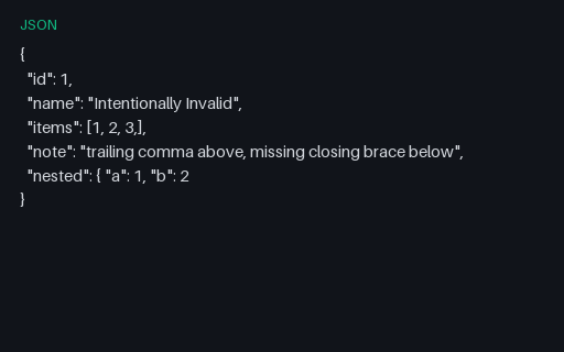 Preview of Intentionally Invalid JSON