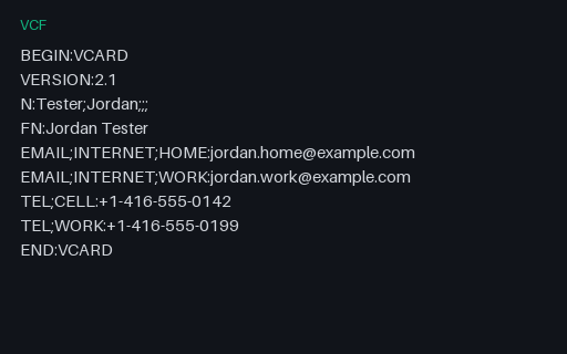 Preview of Multi-Value Contact - vCard 2.1