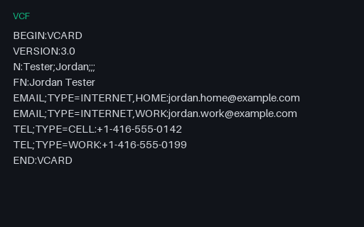 Preview of Multi-Value Contact - vCard 3.0