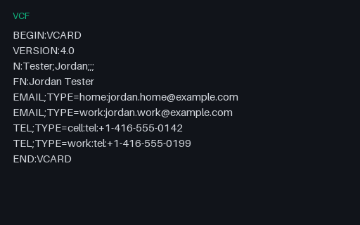 Preview of Multi-Value Contact - vCard 4.0