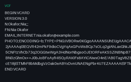 Preview of Embedded-Photo Contact - vCard 3.0