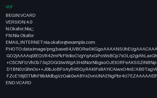 Preview of Embedded-Photo Contact - vCard 4.0