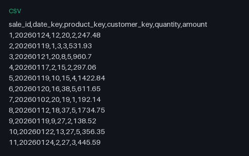Preview of Star Schema: Sales Fact Table (CSV, 300 rows)