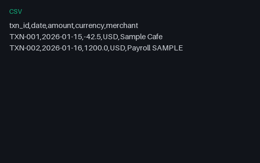 Preview of Fintech Transaction History (CSV)