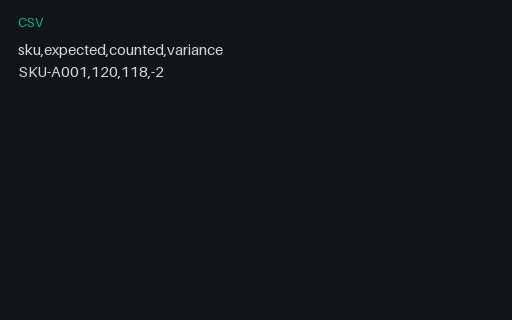 Preview of Inventory Cycle Count (CSV)