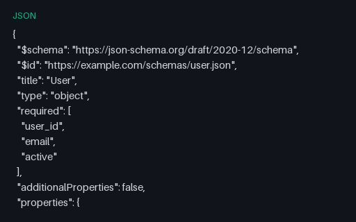 Preview of User JSON Schema (draft 2020-12)
