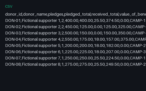 Preview of Willow Community Fund: Donor summary export