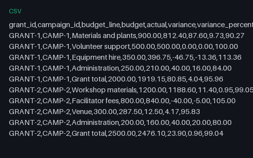 Preview of Willow Community Fund: Grant budget against actual