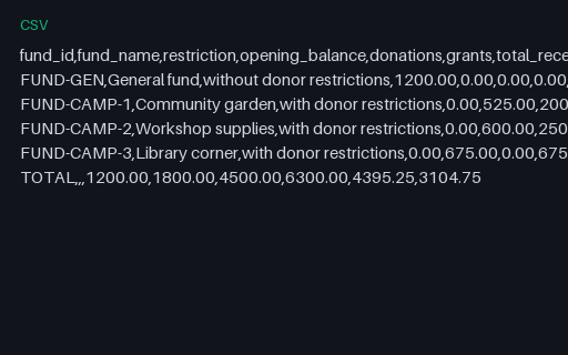 Preview of Willow Community Fund: Restricted and unrestricted fund report
