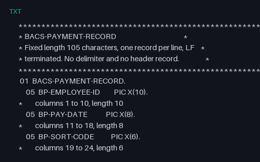 Preview of Cobalt Operations Team: COBOL copybook for the payment file