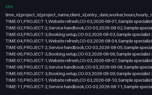 Preview of Tern Client Services: Timesheet export CSV