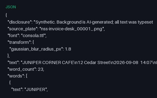 Preview of receipt (gaussian blur) ground truth