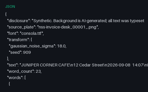Preview of receipt (sensor noise) ground truth