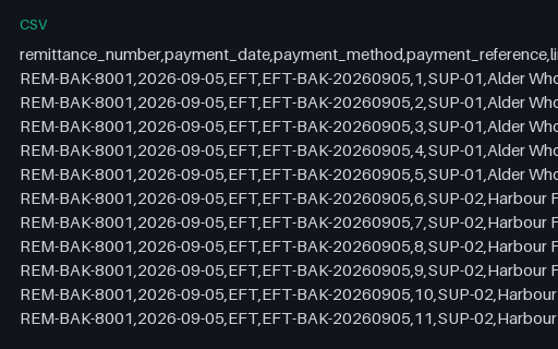 Preview of Copper Oven Bakery: Remittance advice lines CSV