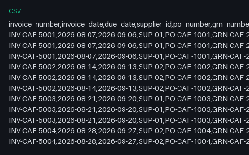 Preview of Juniper Corner Cafe: Supplier invoice lines CSV