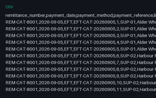 Preview of Willow Event Kitchen: Remittance advice lines CSV