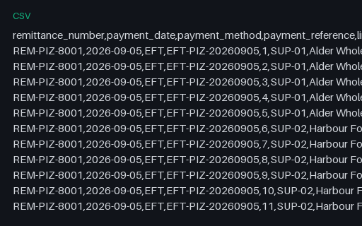 Preview of Ember Lane Pizza: Remittance advice lines CSV