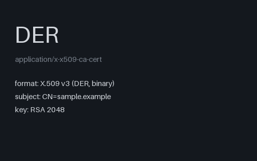 Preview of X.509 Certificate (DER)