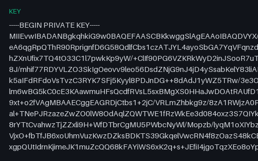 Preview of RSA 2048 Private Key (PEM)