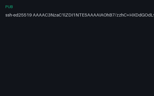 Preview of SSH Public Key (Ed25519)