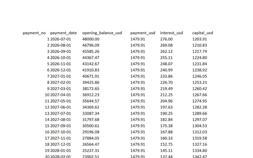 Preview of Pine Assembly Workshop: Loan amortisation workbook