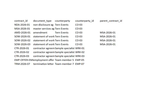 Preview of Tern Client Services: Contract register workbook