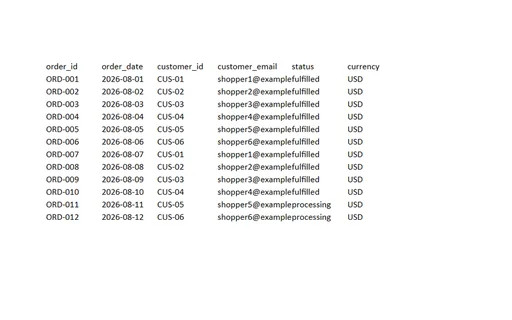 Preview of Fieldnote Supply Shop: Order export workbook