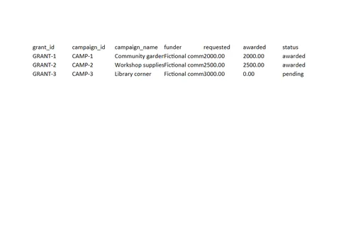 Preview of Willow Community Fund: Grant reporting workbook