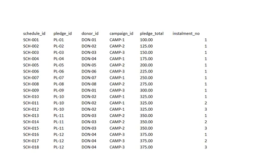 Preview of Willow Community Fund: Pledge and receipt workbook