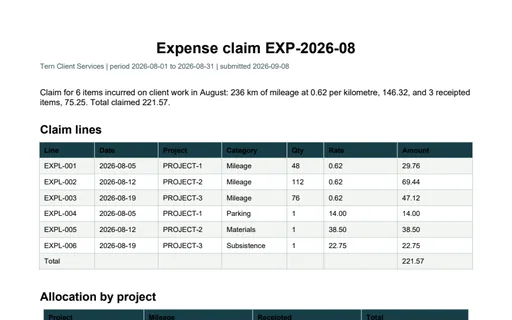 Preview of Tern Client Services: Expense claim PDF