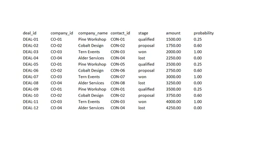 Preview of Tern Client Services: Sales pipeline workbook